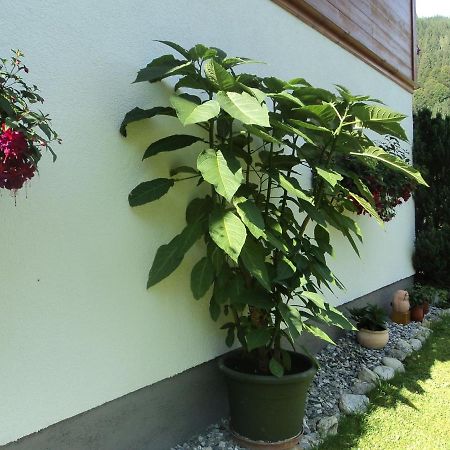 Appartamento Gondelblick Wagrain Esterno foto