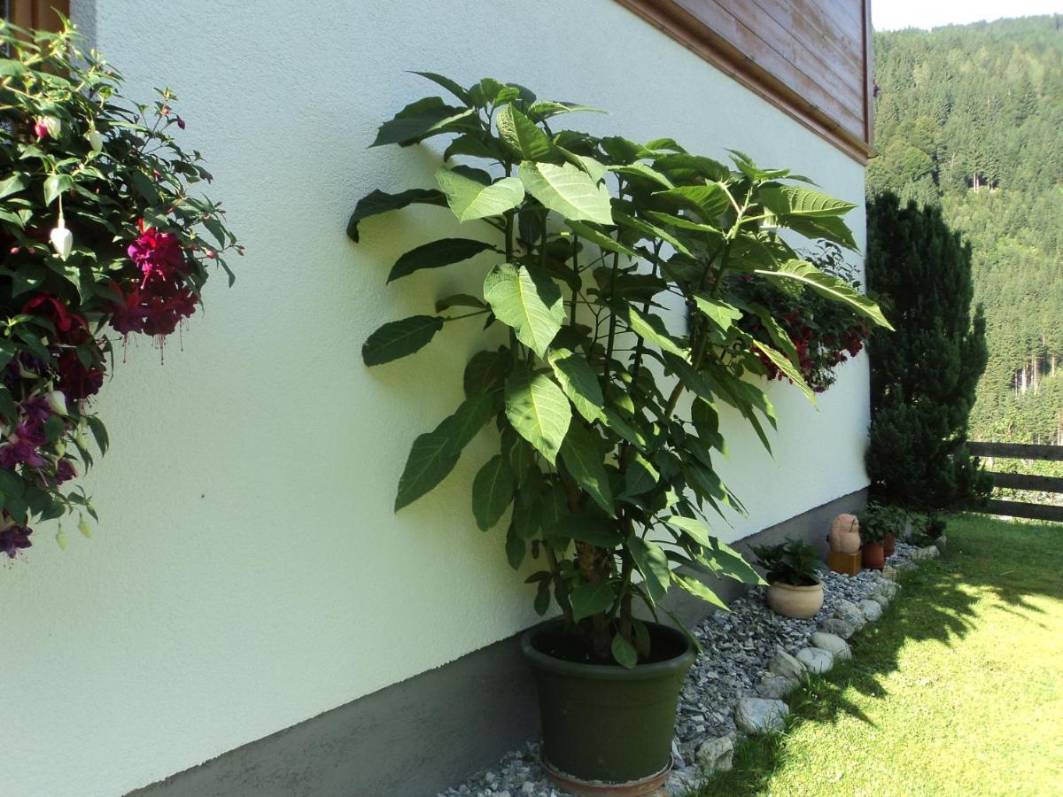Appartamento Gondelblick Wagrain Esterno foto