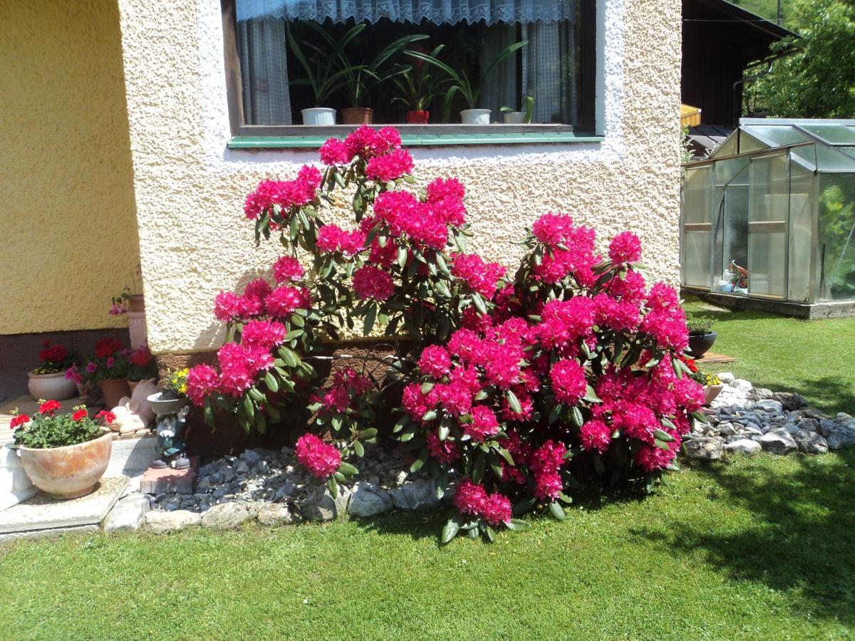 Appartamento Gondelblick Wagrain Esterno foto
